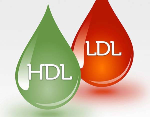 کلسترول HDL