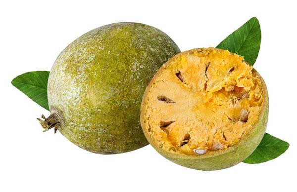میوه بکرایی
